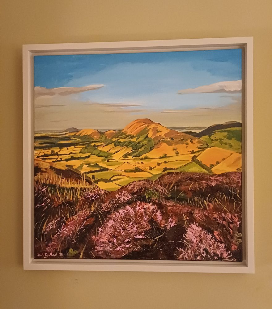 View from the Long Mynd - framed