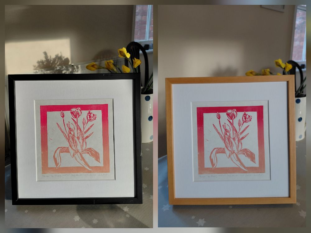 Tulips - Mother's Day, rainbow roll - framed