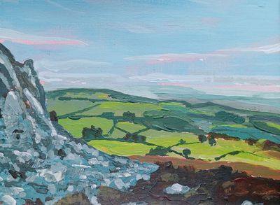 View from Stiperstones, Shropshire