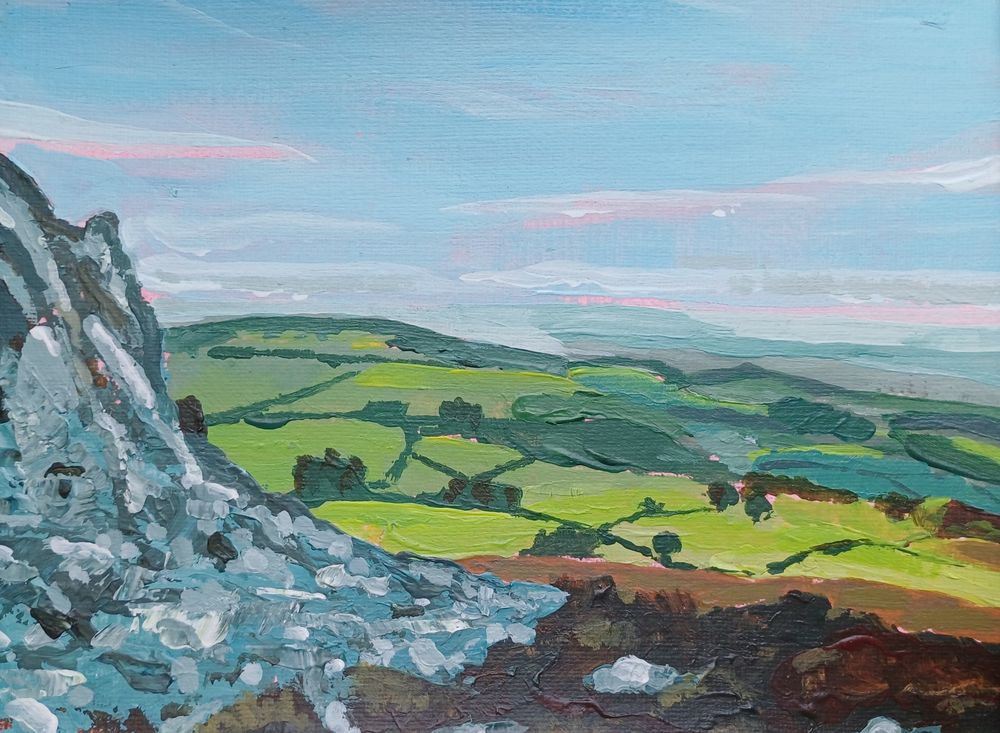 View from Stiperstones, Shropshire