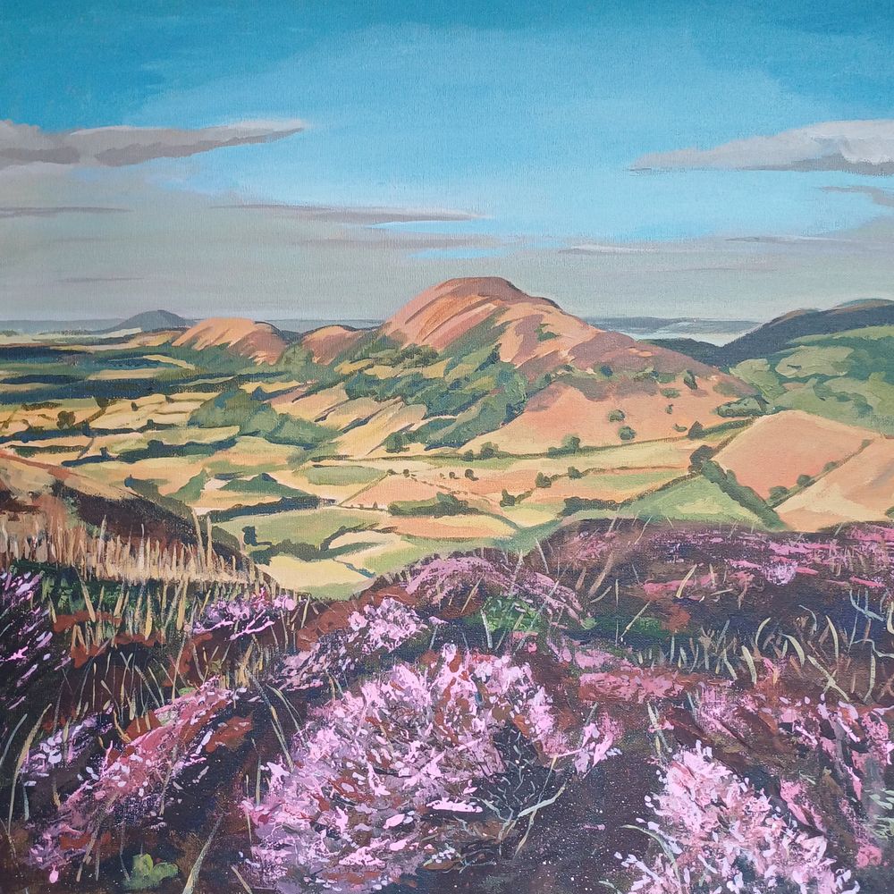 View from the Long Mynd