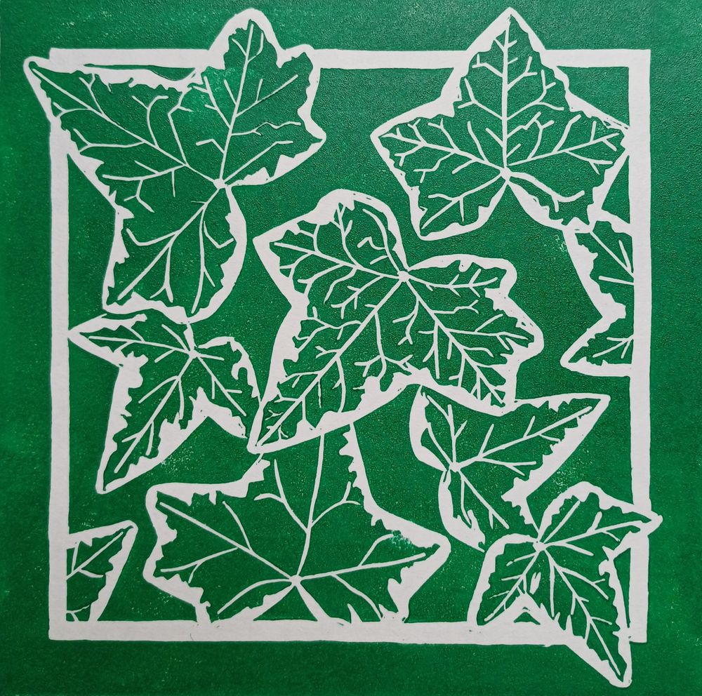 Ivy
